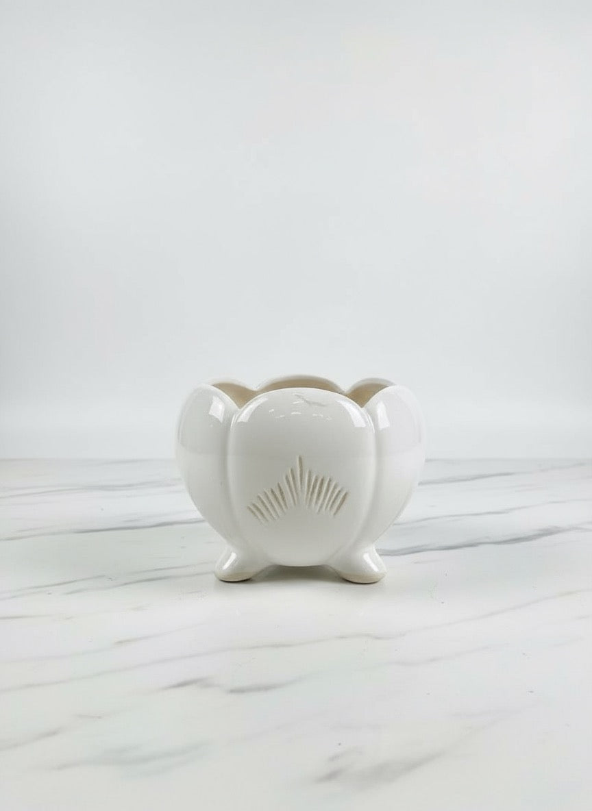 Zave White Ceramic Footed Planter / Modern Lotus Succulent Pot