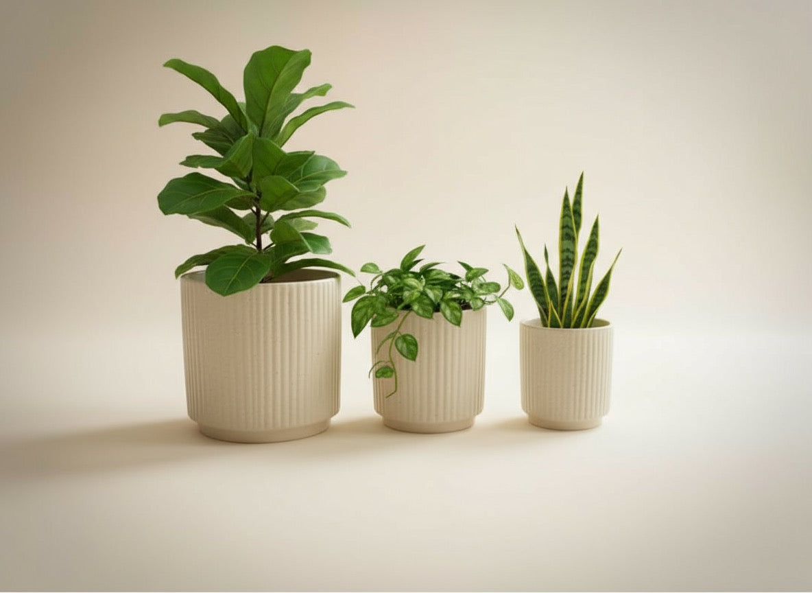Zave Ribbed Stoneware Planters (Set of 3) / Modern Scandinavian Pot Set