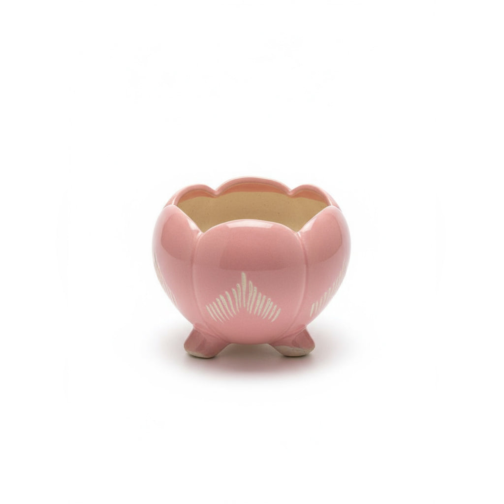 Zave Pink Ceramic Footed Bowl / Scalloped Flower Pot