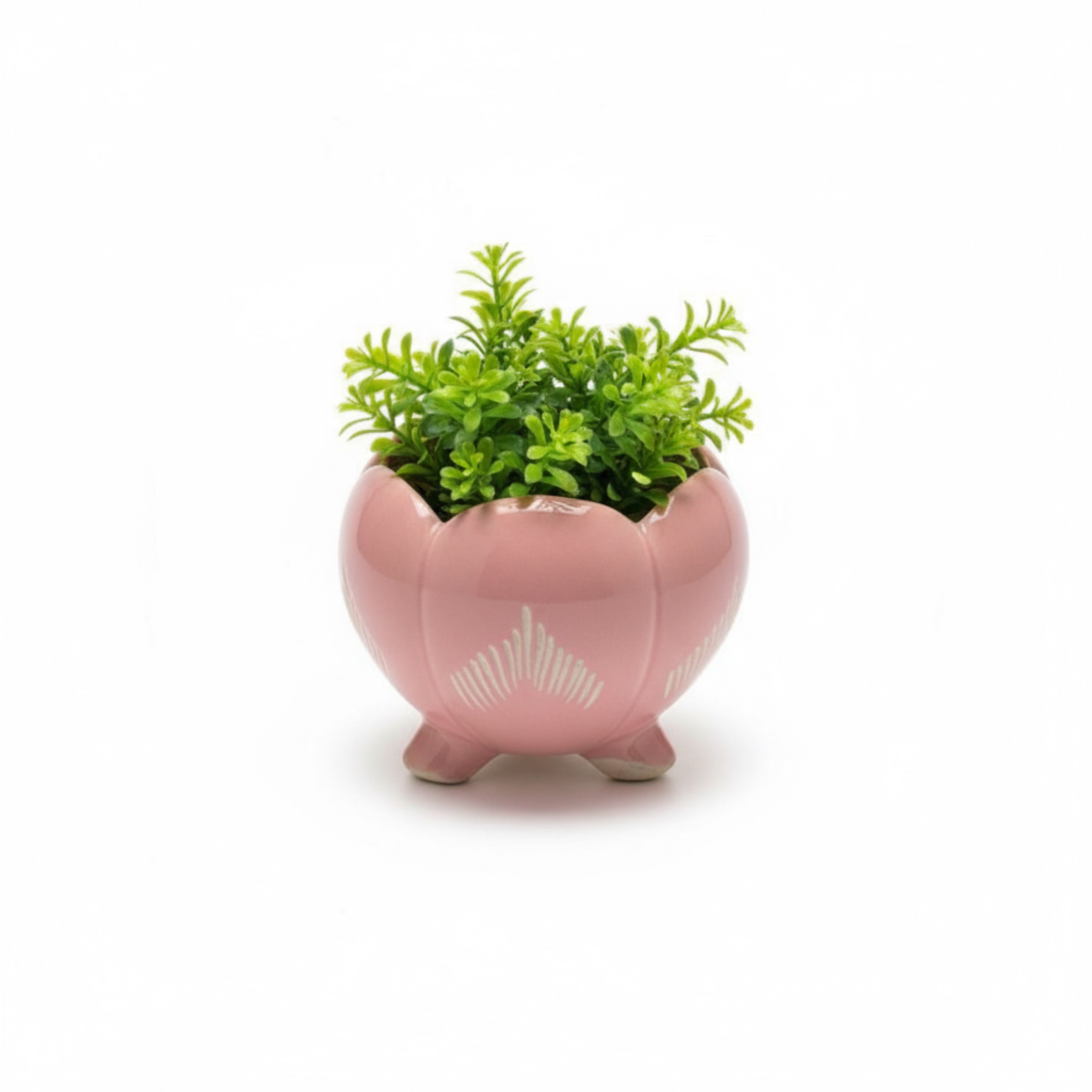 Zave Pink Ceramic Footed Bowl / Scalloped Flower Pot