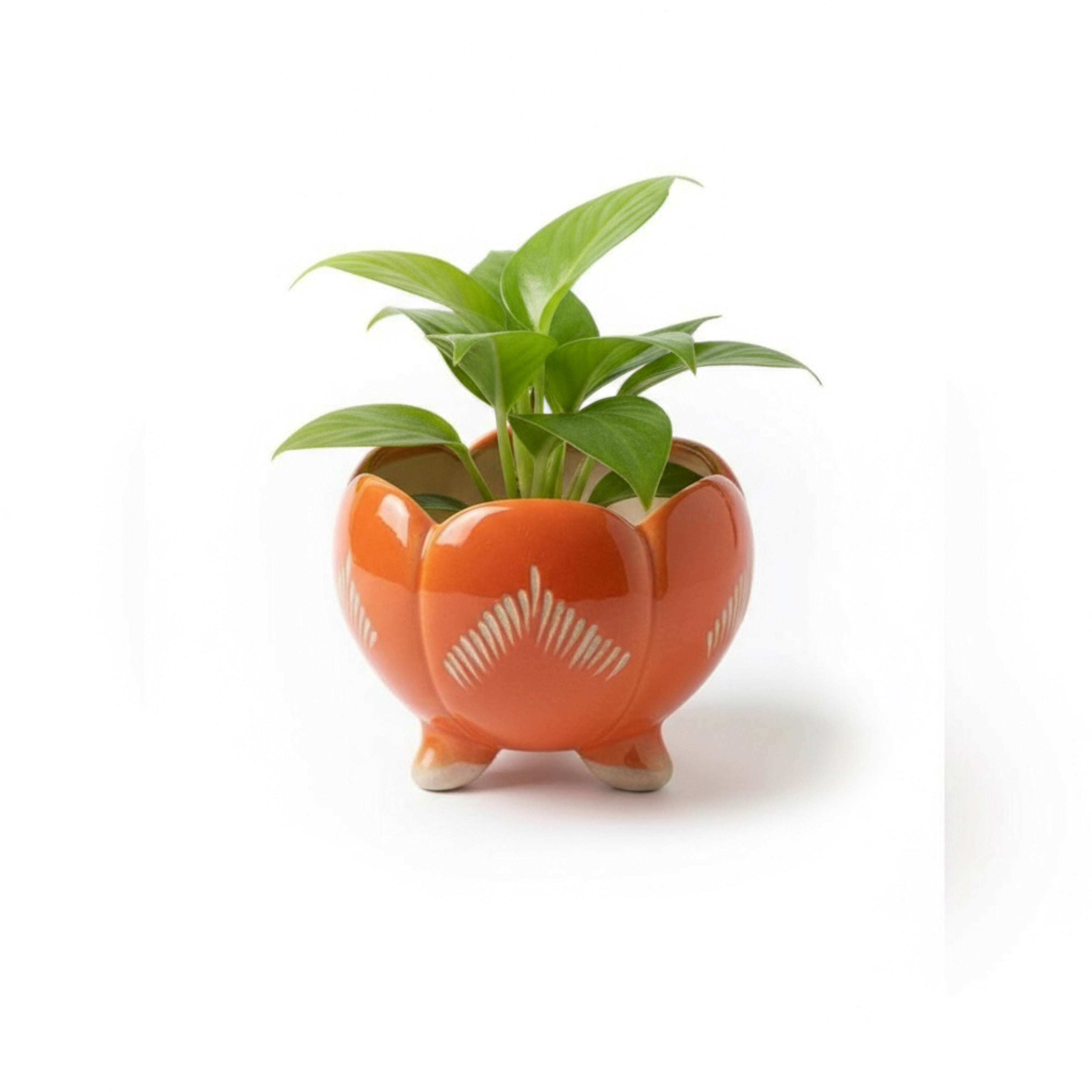 Zave Artisanal Orange Footed Planter / Ceramic Lotus Succulent Pot