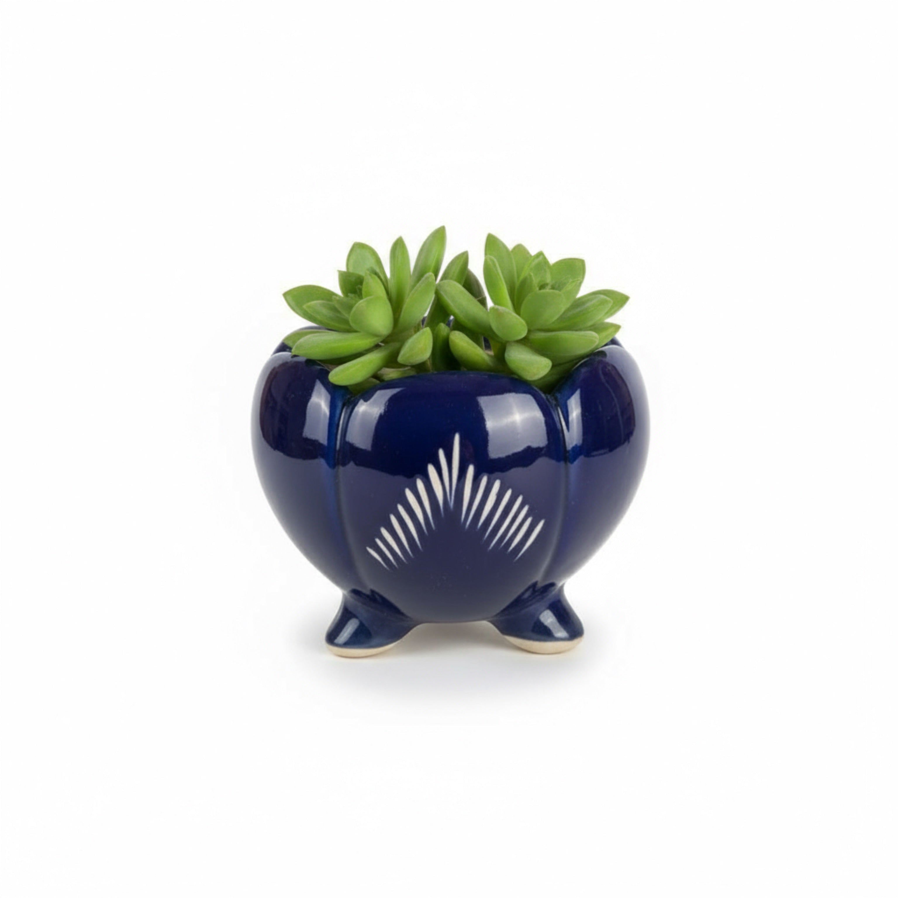 Zave Cobalt Blue Footed Planter / Artisanal Lotus Pot