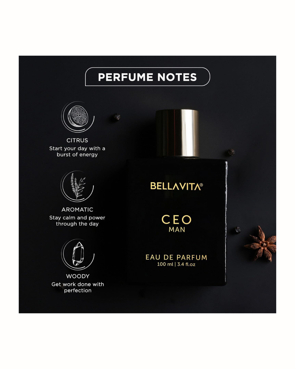 Bella Vita Luxury CEO MEN Long Lasting Perfume