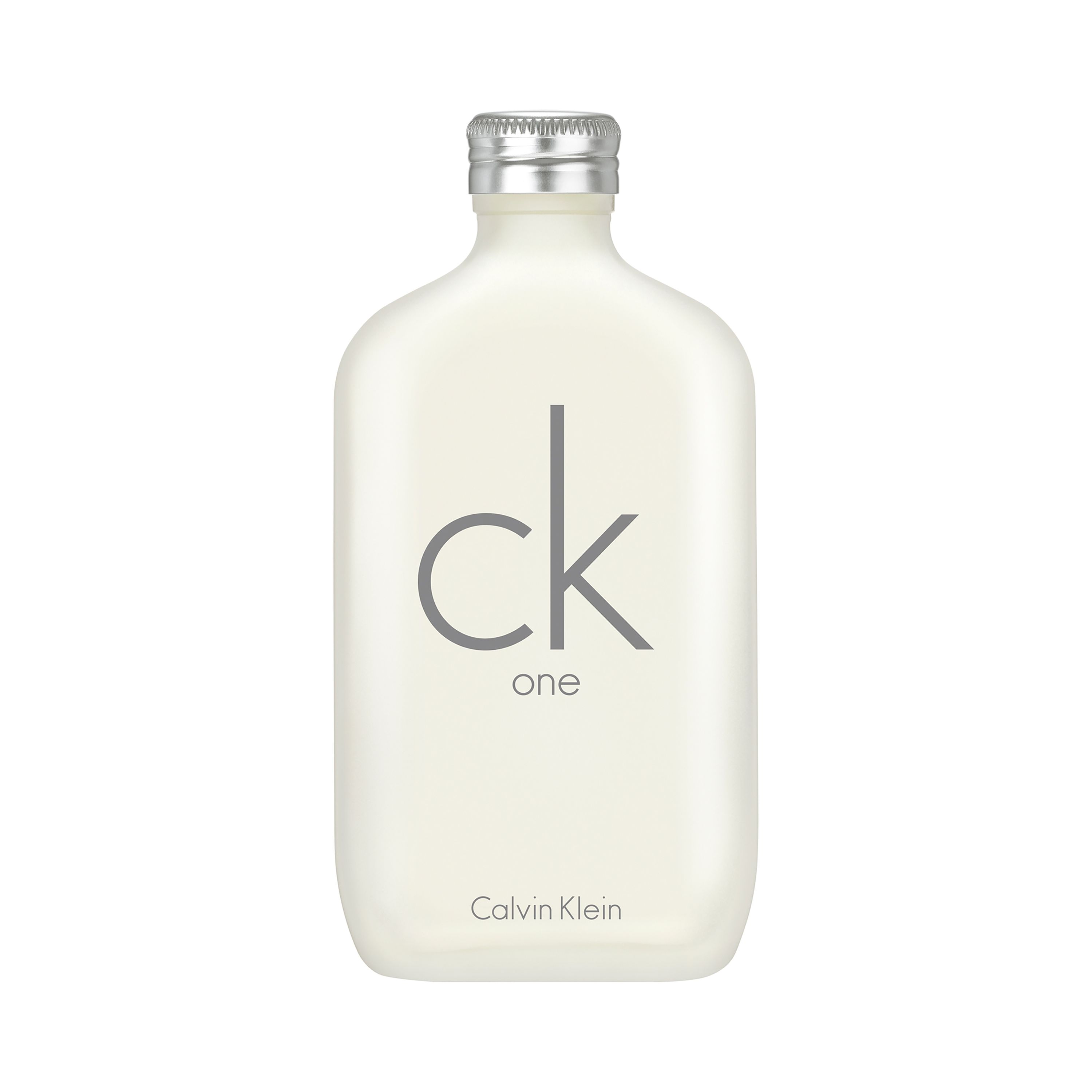 Calvin Klein CK One Eau de Toilette (100ml)