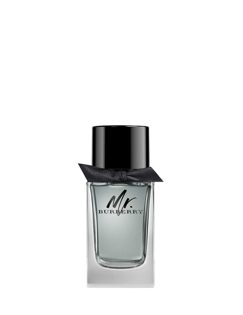 Burberry Mr. Burberry Eau De Toilette (100ml) - ZAVE