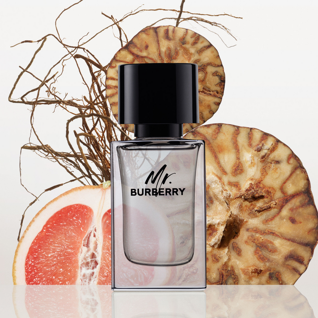 Burberry Mr. Burberry Eau De Toilette (100ml) - ZAVE