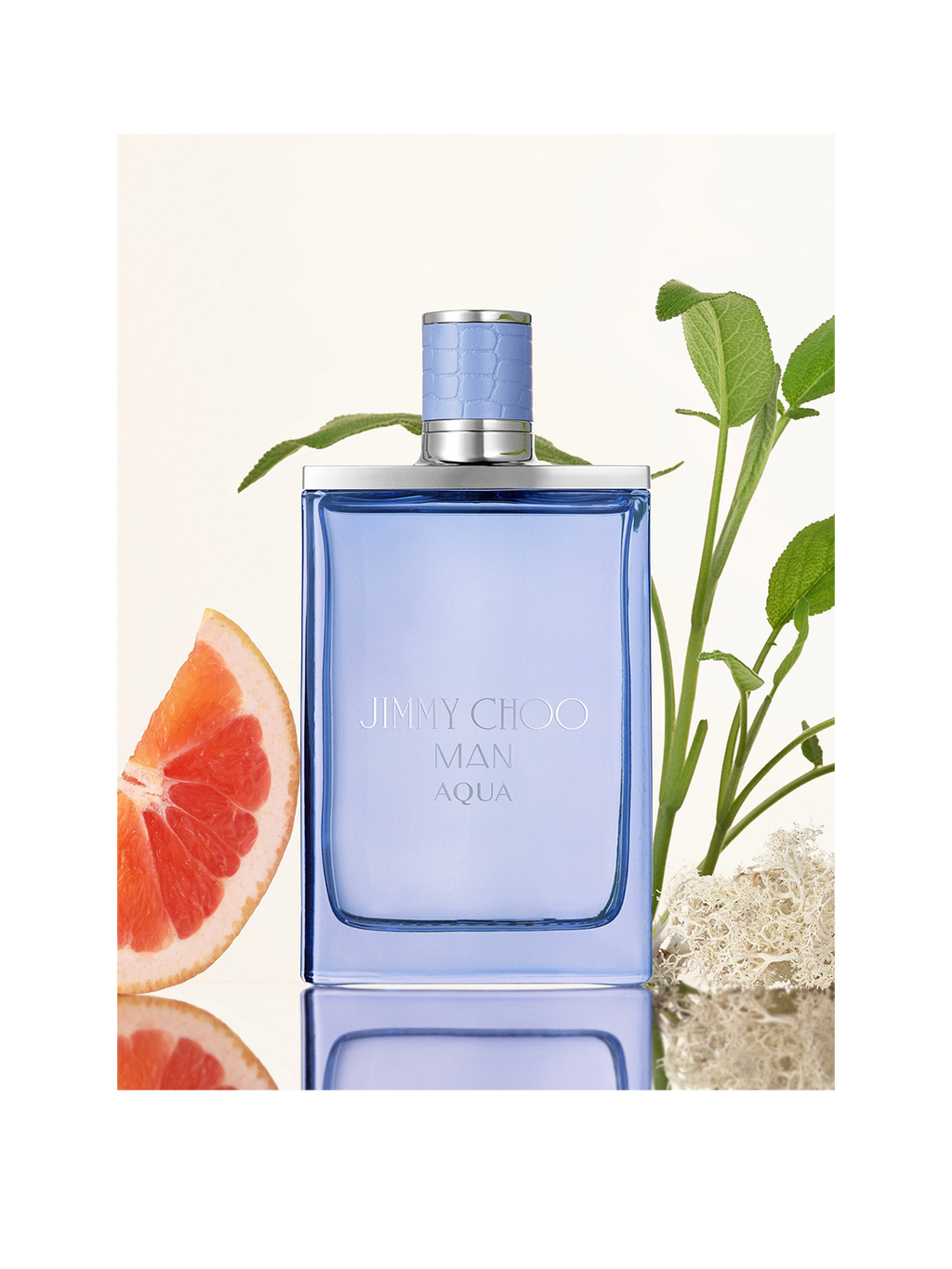 Jimmy Choo Men Aqua Eau de Toilette 100ml - ZAVE