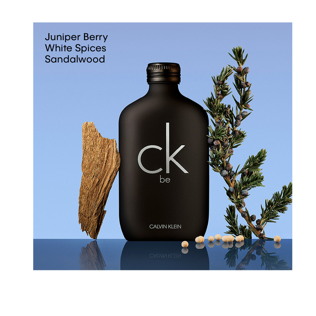 Calvin Klein CK Be for Men Eau De Toilette (200ml)