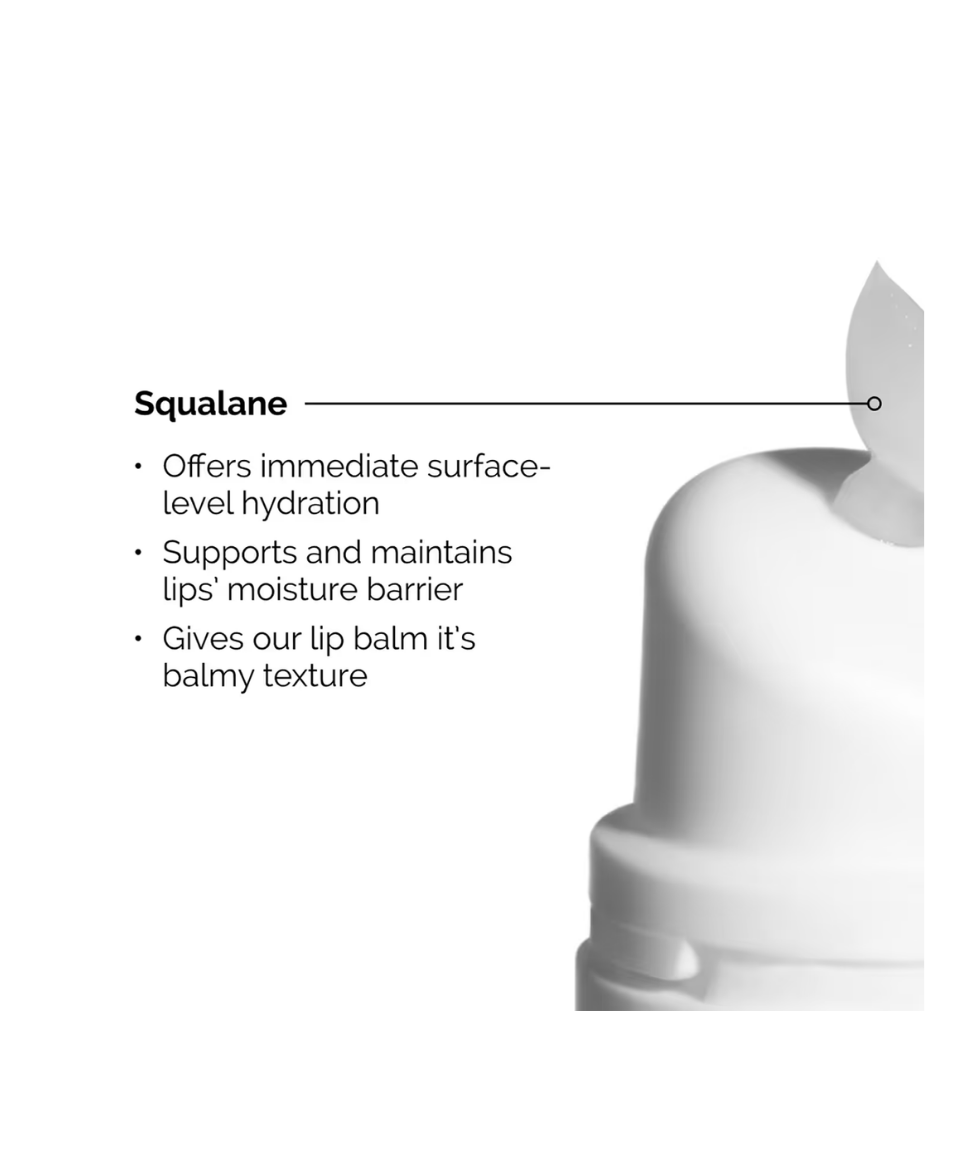 The Ordinary Squalane + Amino Acids Lip Balm (15 ml) - ZAVE