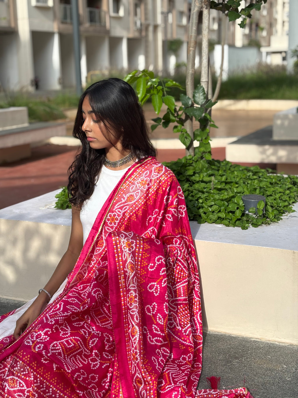 Graceful Blush Pink & White Chaniya Choli
