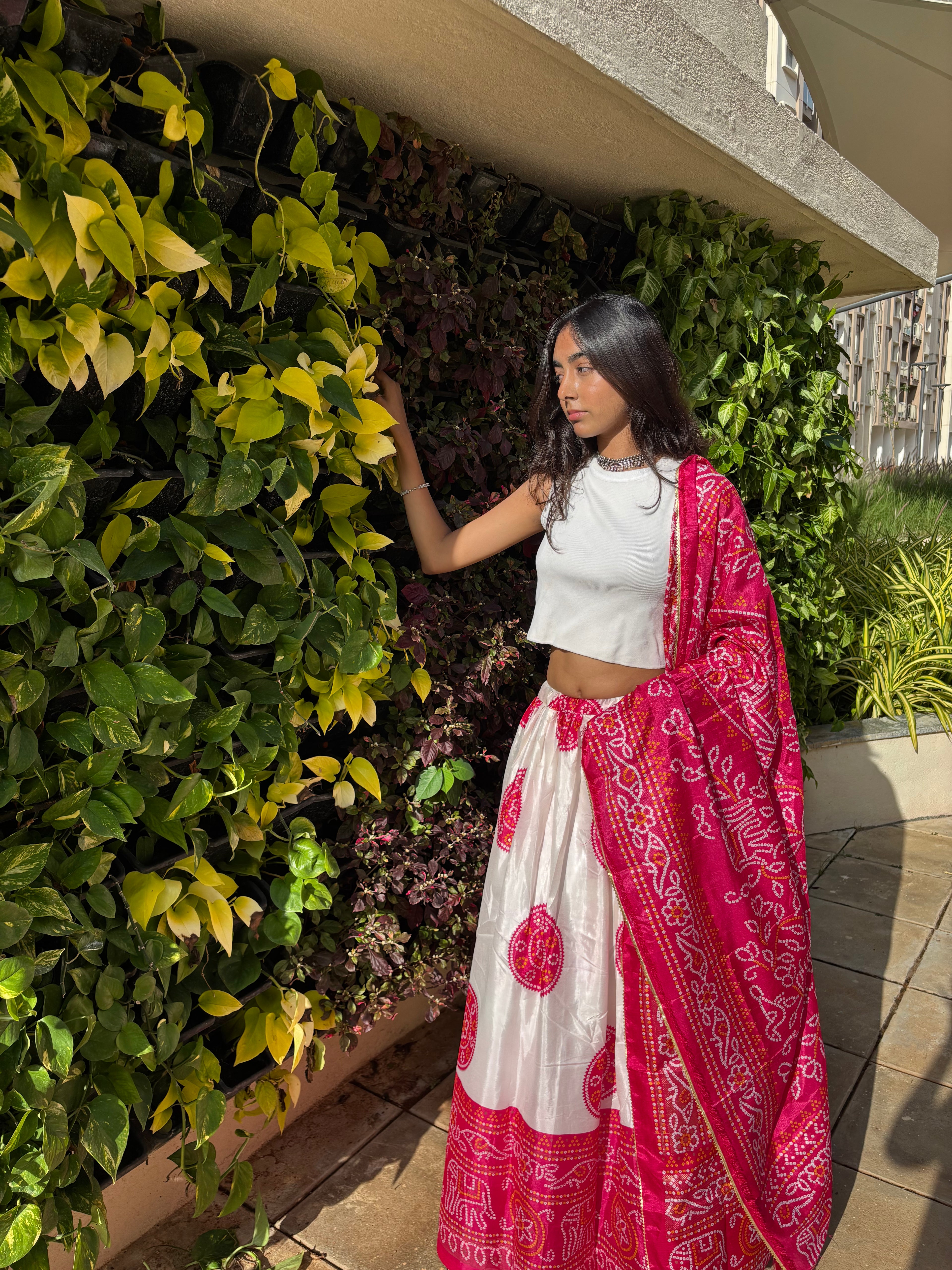 Graceful Blush Pink & White Chaniya Choli